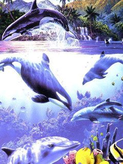 Whale