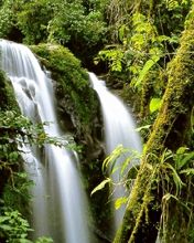 - - wallpaper preview