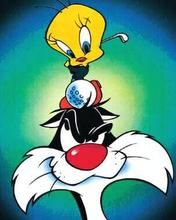 Tweety and Silvester
