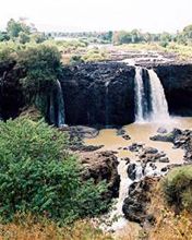 Nile