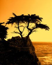 Cyprus - wallpaper preview