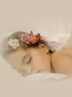 Dream
