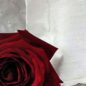 Red Rose