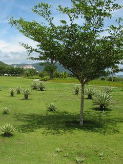 Hainan