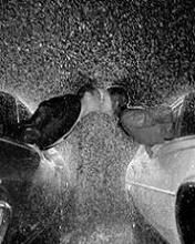 Car love