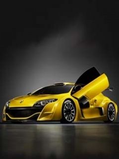 Renault Megane Trophy