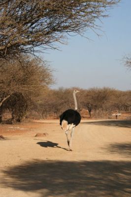 Botswana