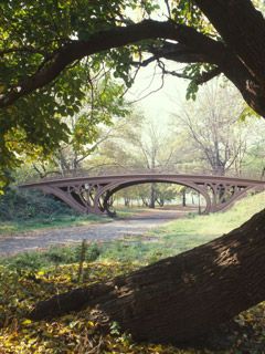 Central Park - New York