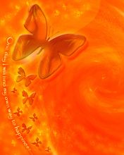 Orange Butterfly