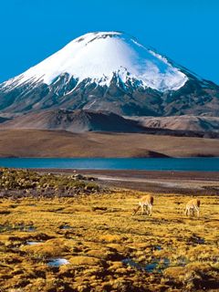 Chile Atacama