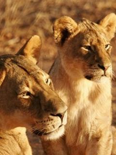 South Africa