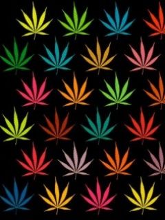 Weeds