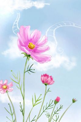 - - wallpaper preview
