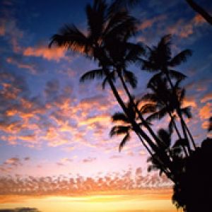 Coucher de soleil tropical avec palmiers