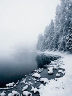 Paysage d'Hiver