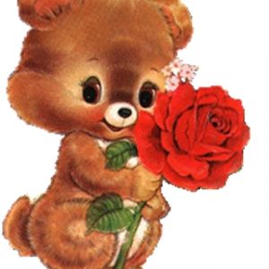 Ours Mignon avec Rose