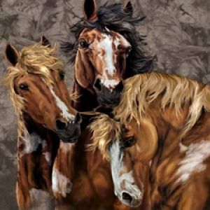 Portrait de Chevaux Magnifiques