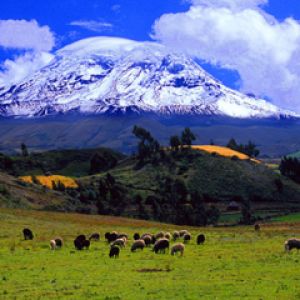 Paysage montagneux majestueux
