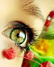 Bel Oeil avec Fleurs