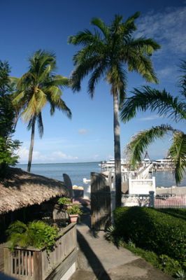 Paradis Tropical avec Palmiers