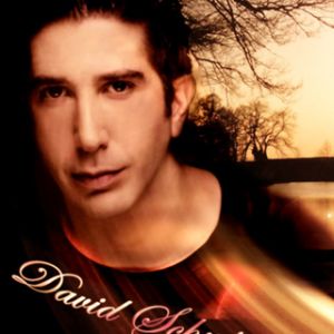 Portrait Artistique de David Schwimmer