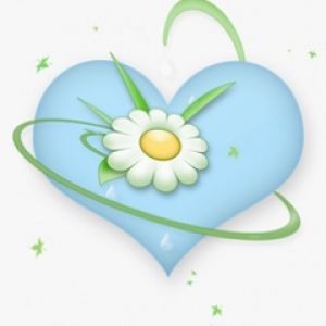 Cœur Bleu avec Marguerite