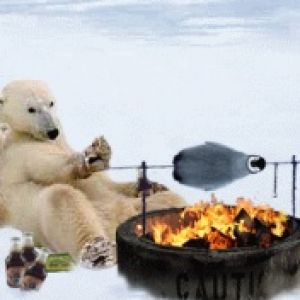 Ours Polaire Cuisinant au Feu
