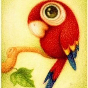 Illustration de Perroquet Coloré