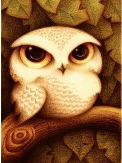 Illustration de Hibou Mignon