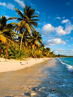 Paradis de Plage Tropicale