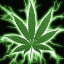 Feuille de Cannabis Verte Électrique