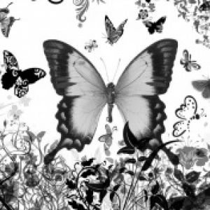 Art de Papillon Noir et Blanc