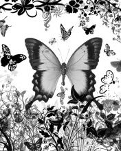 Art de Papillon Noir et Blanc