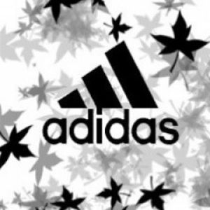 Logo Adidas avec Feuilles