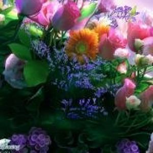 Bouquet de Fleurs Vives