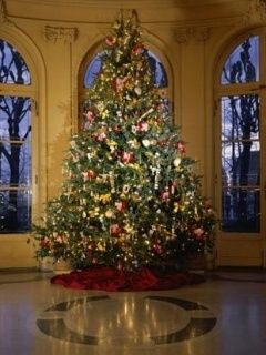 Arbre de Noël Élégant