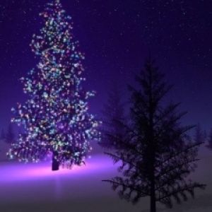Arbre de Noël Coloré