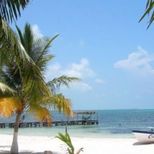 Paradis Tropical
