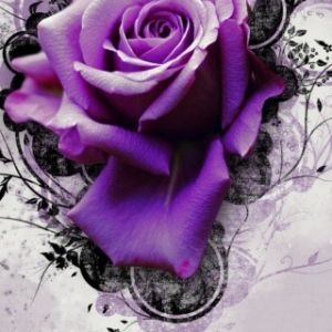 Rose Pourpre Art Floral
