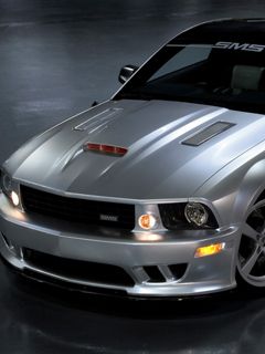Voiture de Sport Argentée
