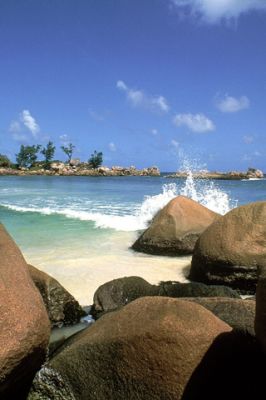Vagues de Plage Tropicale
