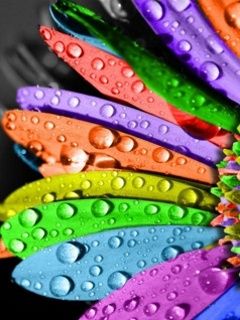 Fleur Colorée avec Gouttes d'Eau