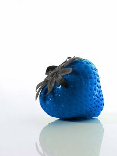 Fraise Bleue