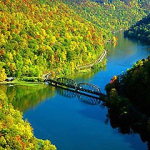 Rivière Scénique et Forêt d'Automne