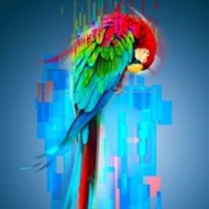 Art Numérique de Perroquet Coloré