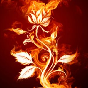 Art de Fleur en Flammes