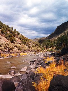 Paysage Fluvial Scénique