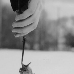 Rose Noir et Blanc