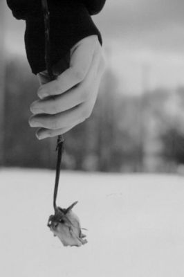 Rose Noir et Blanc