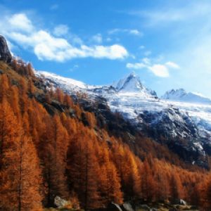 Paysage montagneux d'automne